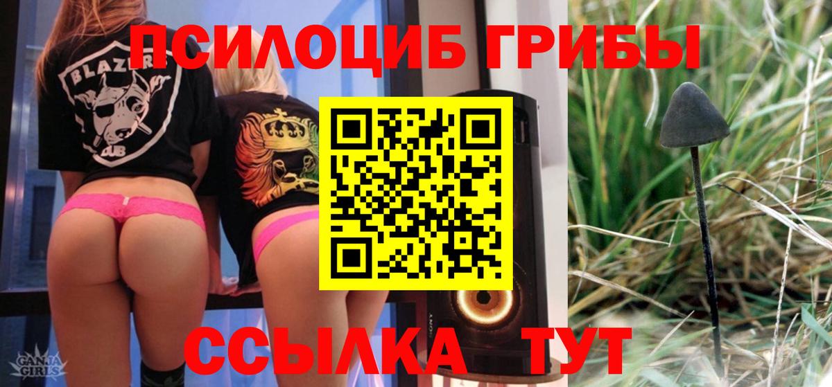 Псилоцибиновые грибы ЛСД  Галлюциногенные грибы GOLDEN TEACHER  Вход с VPN  Славгород 